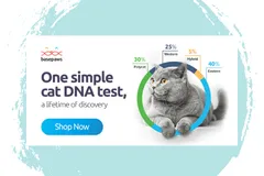 Photo of the Basepaws DNA test kit