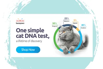 Photo of the Basepaws DNA test kit