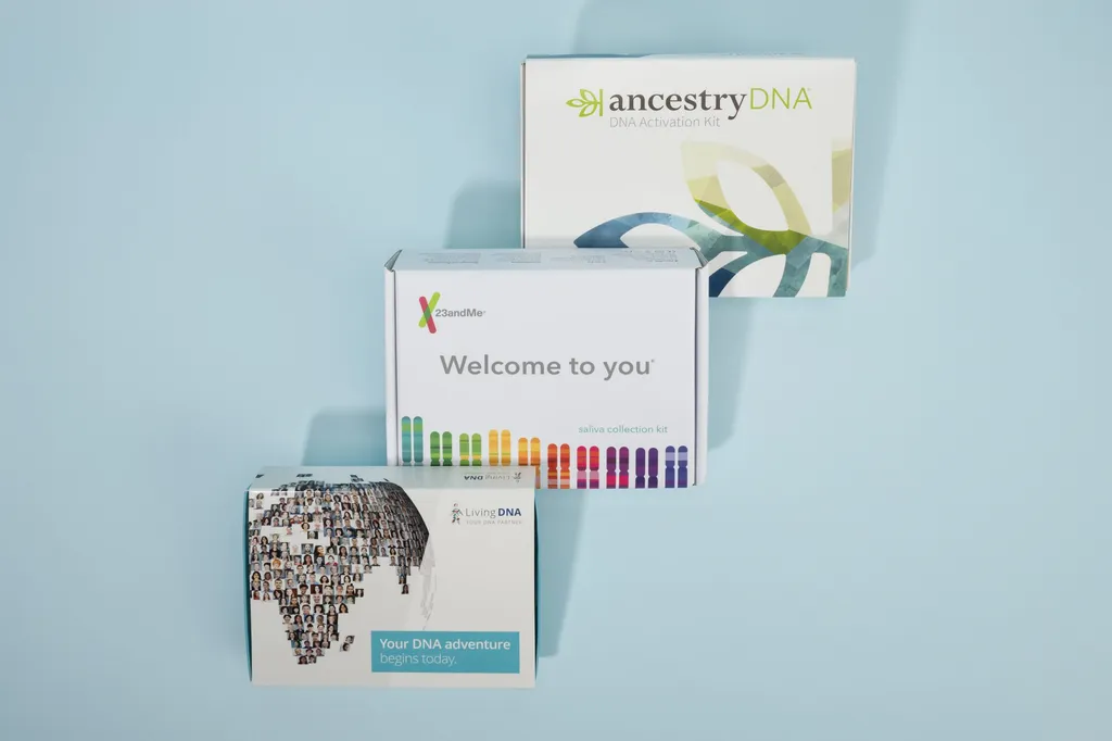 People reviewing ancestry DNA results together