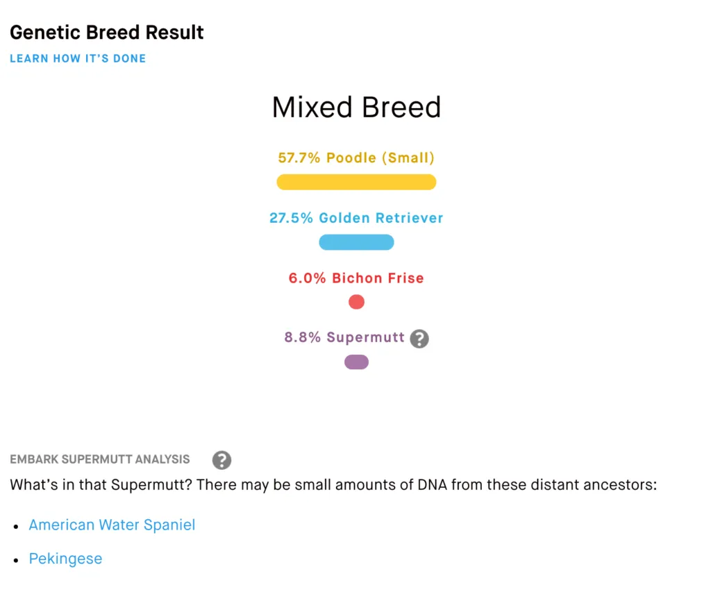 Embark Review (2026) 21