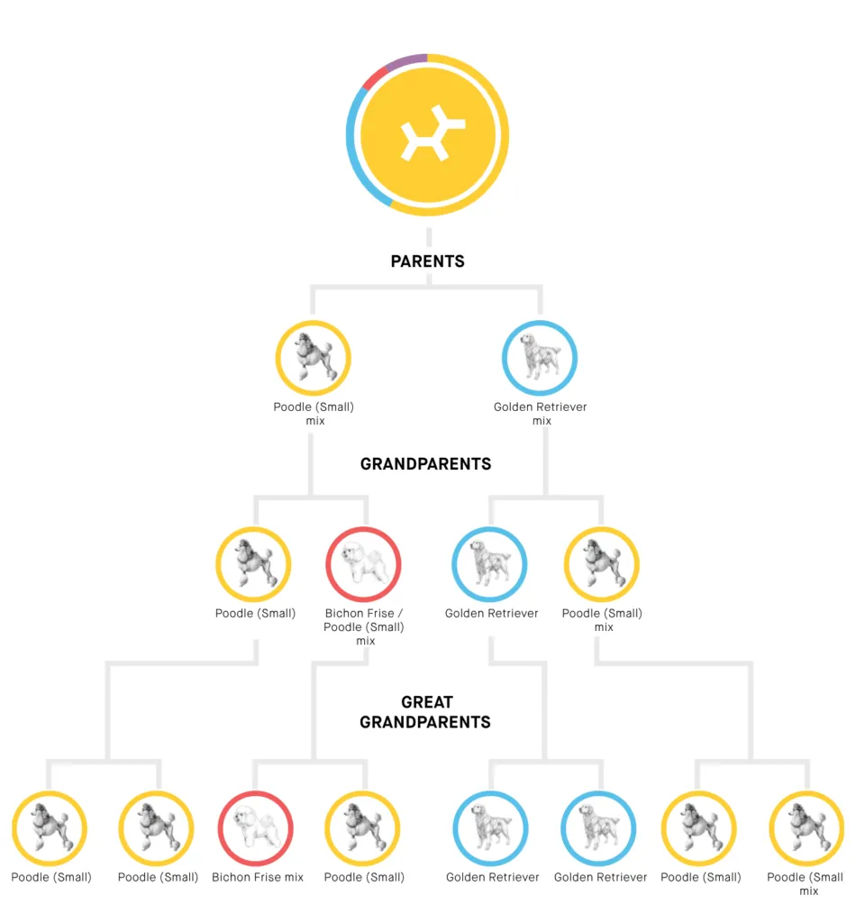 Embark Review (2026) 22