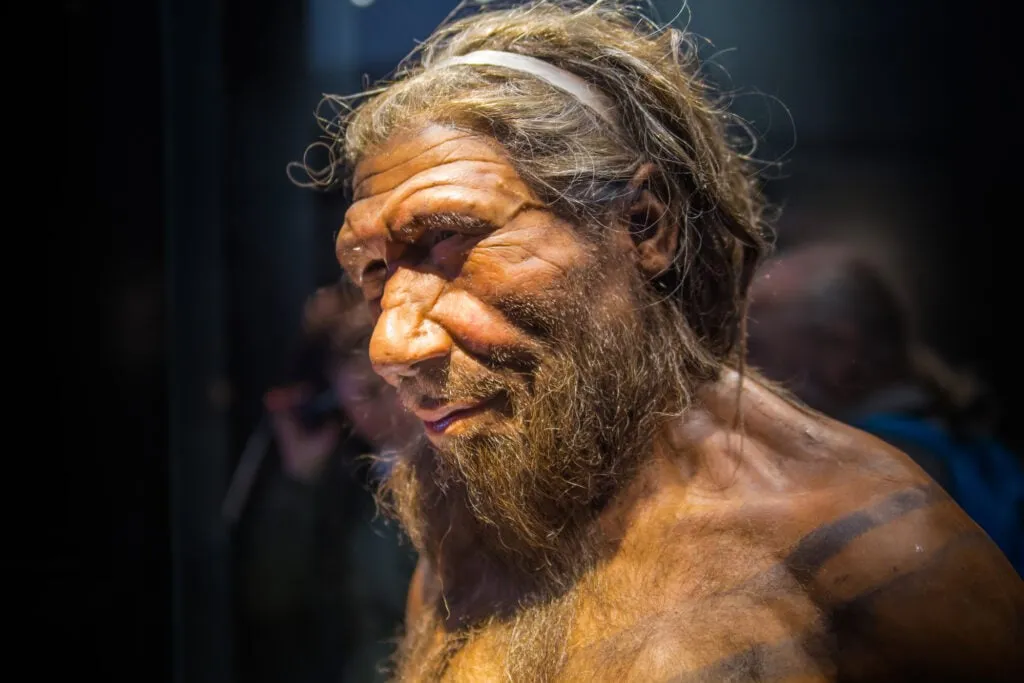 Which Populations Have the Highest Neanderthal DNA? 2