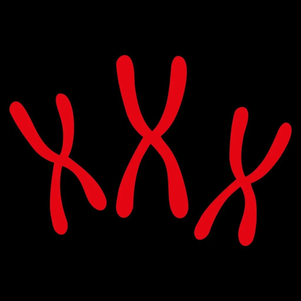 Image of Chromosomes
