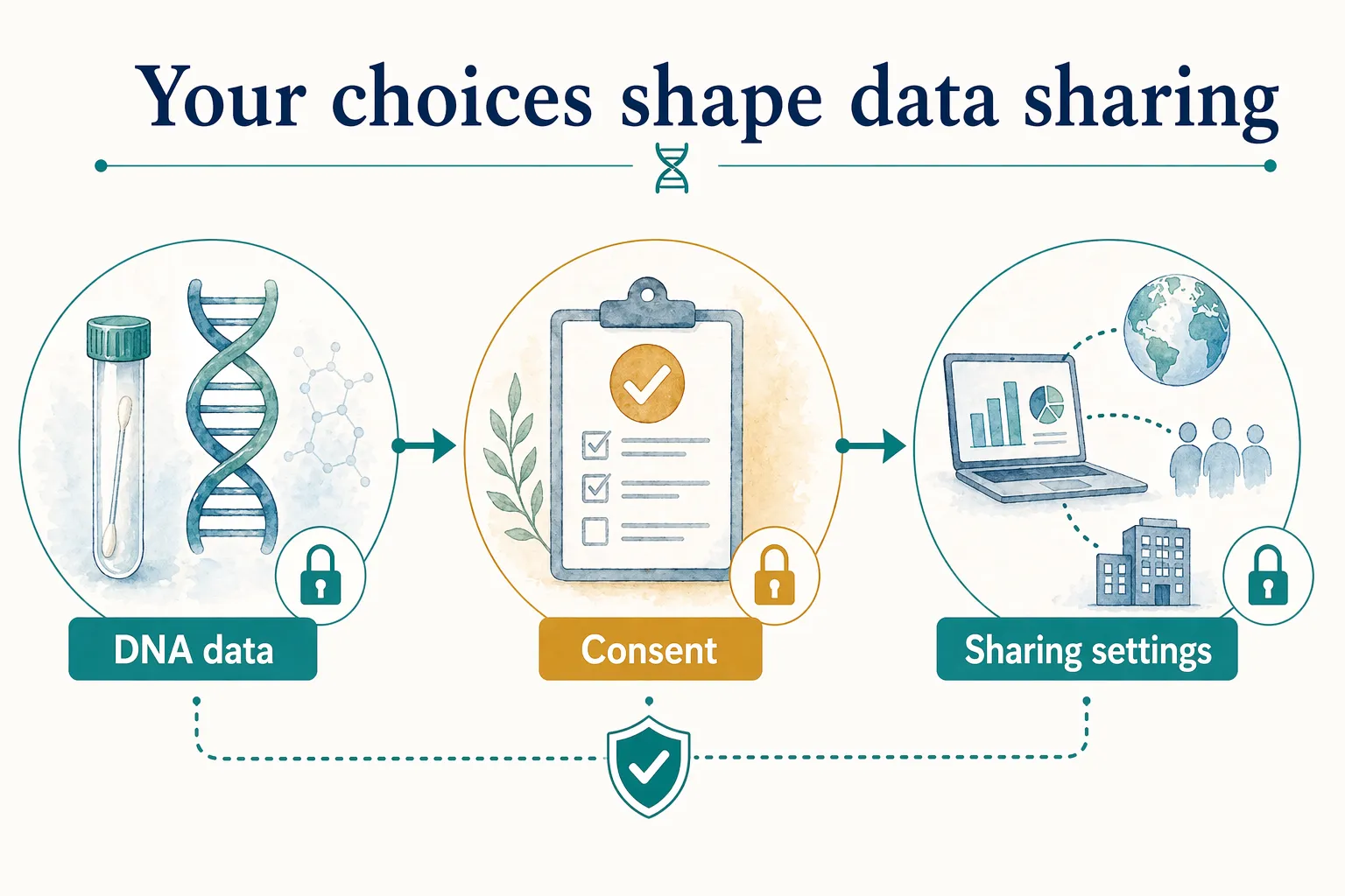 DNA privacy graphic showing DNA data, consent, and sharing settings as choices that shape data sharing.