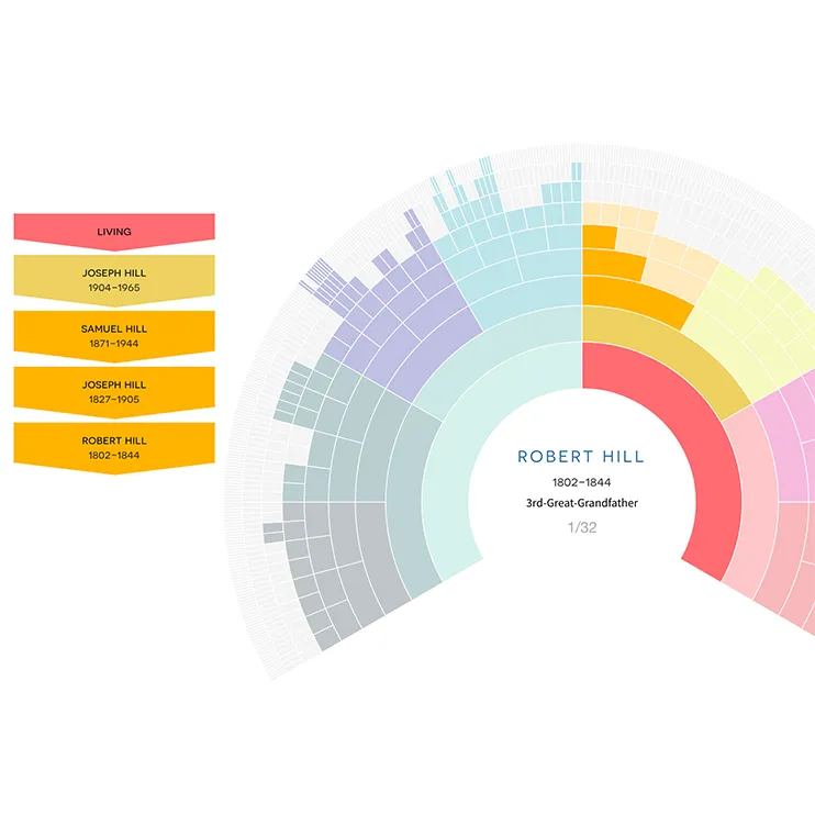 What is DNA Painter? 7