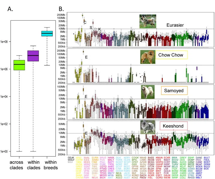 Embark Review (2026) 20