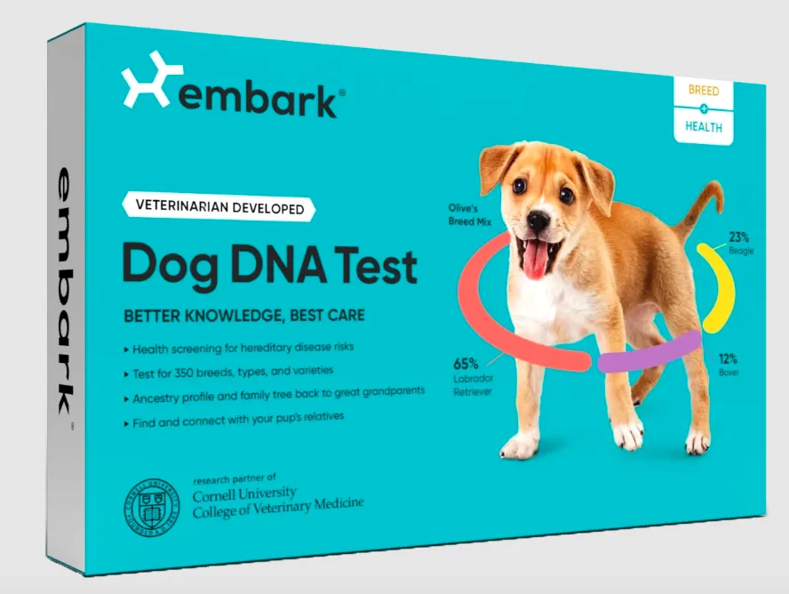 Embark Review (2026) 15