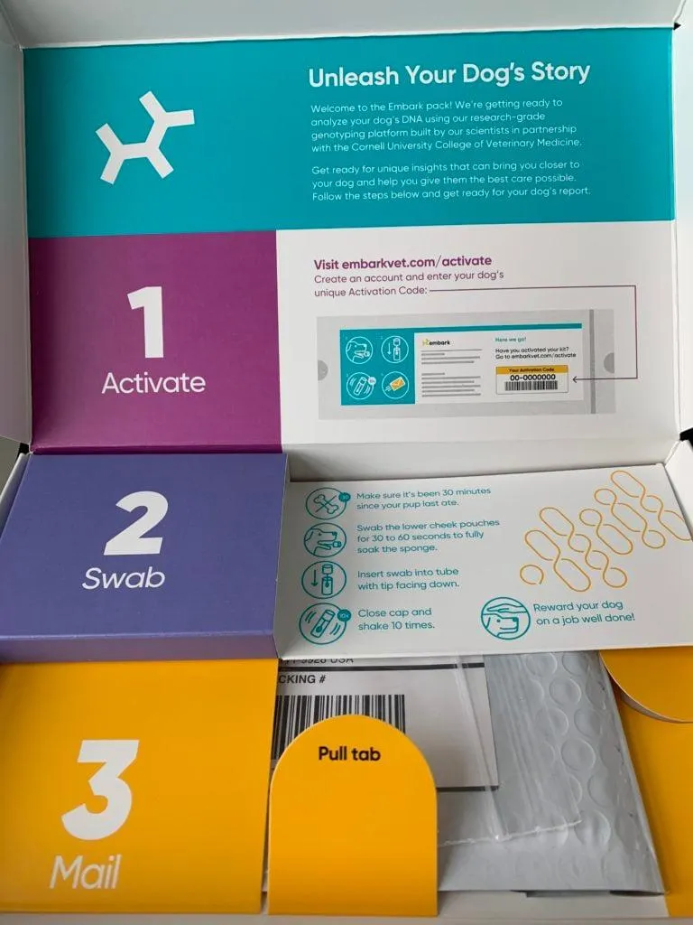 My Dog and My Embark Kit Review - How Accurate Was It? 15