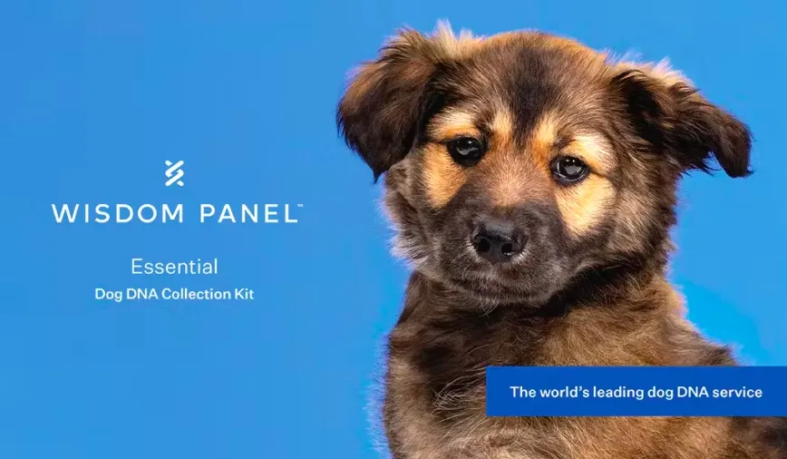 Embark Review (2026) 26