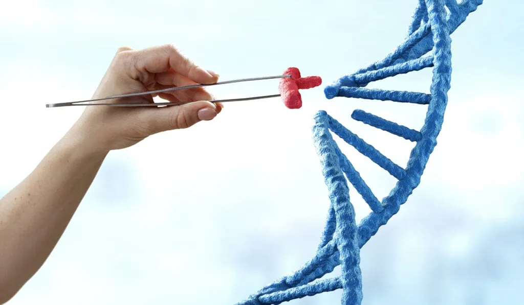 What's the Difference Between Genes and Alleles? 2