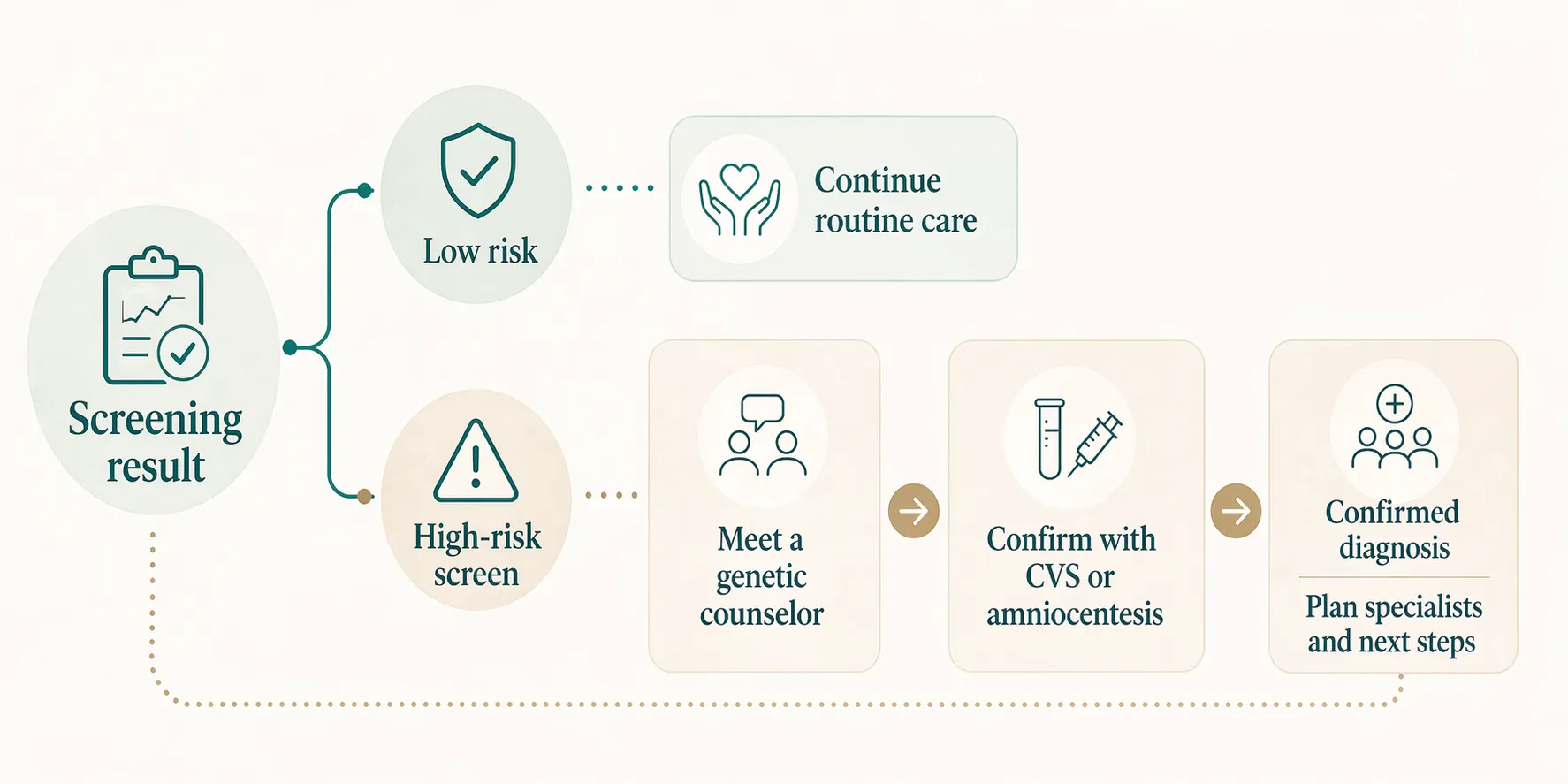 Prenatal testing flow showing low-risk follow-up and next steps after a high-risk screen