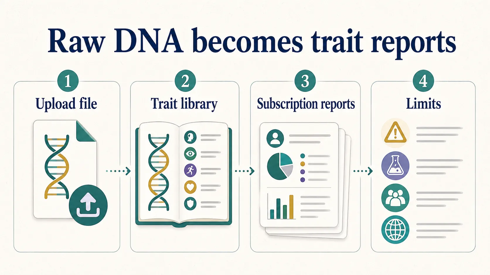 Genomelink review graphic showing raw DNA upload becoming trait reports, subscription reports, and limits.