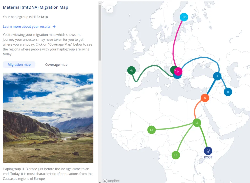 Living DNA Review (2026): What the Test Can Tell You 24