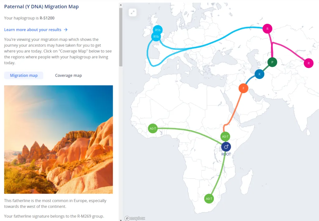 Living DNA Review (2026): What the Test Can Tell You 26