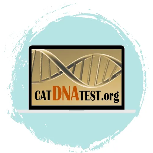 What's The Best DNA Test For Cats? (2026) 4