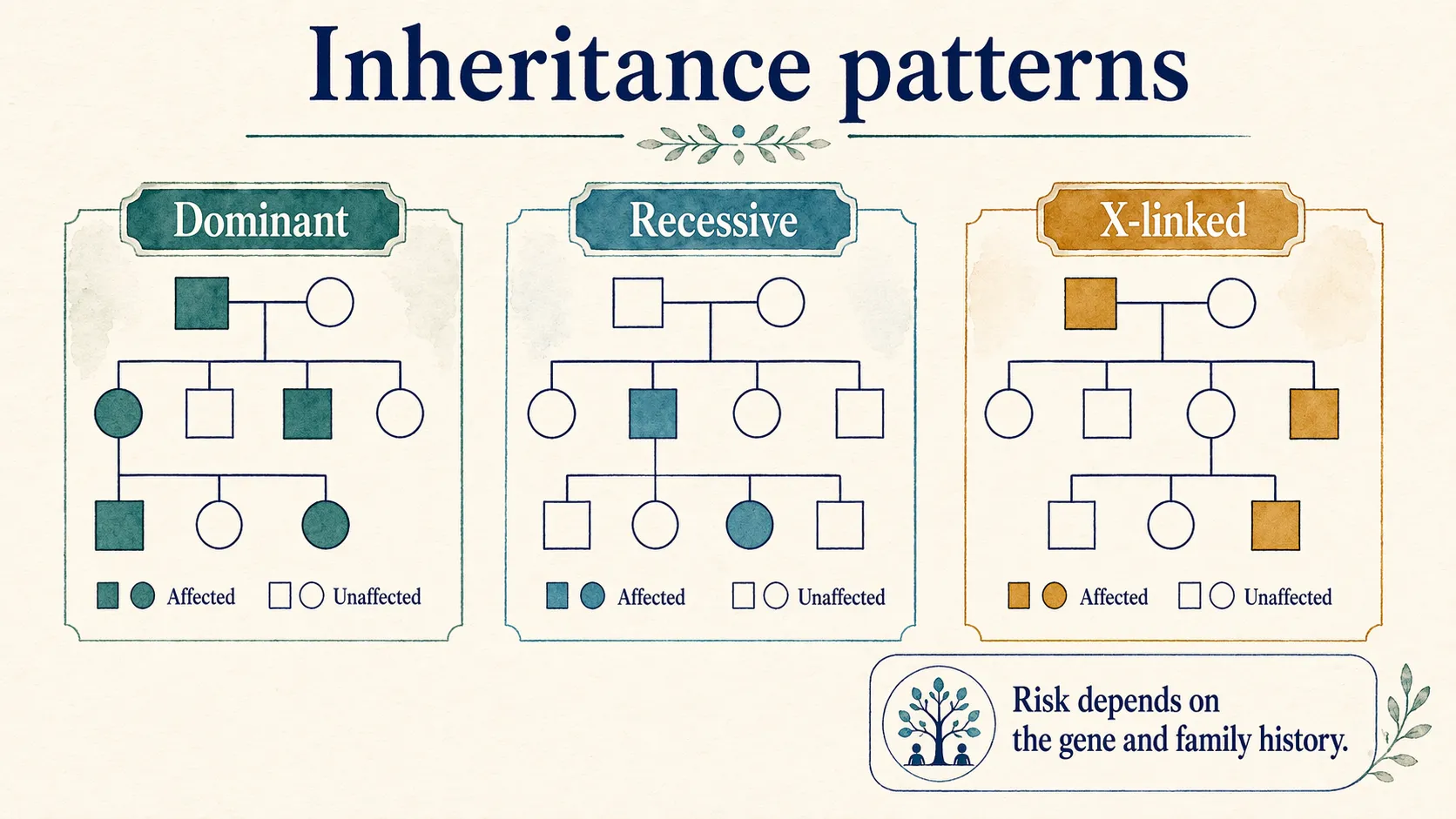 Inheritance patterns infographic showing dominant, recessive, and X-linked pedigree examples.