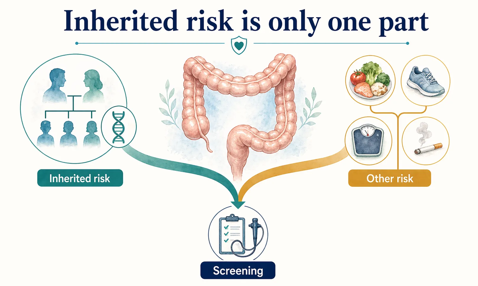Colon cancer risk graphic showing inherited risk as one part alongside other risk and screening.