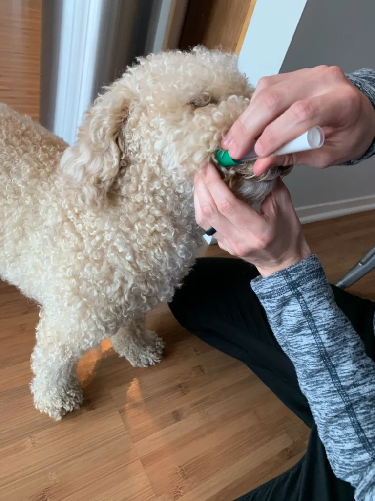 Embark Review (2026) 16