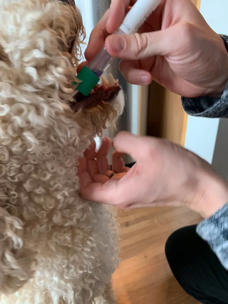 Embark Review (2026) 18