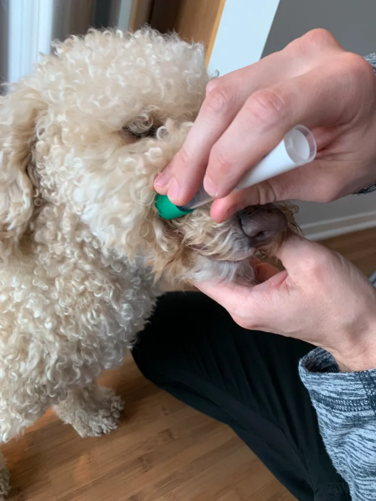 Embark Review (2026) 17