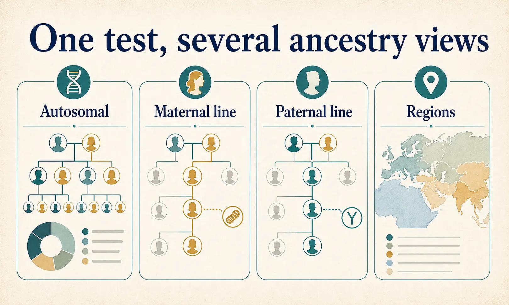 Living DNA review graphic showing autosomal, maternal line, paternal line, and regional ancestry views.