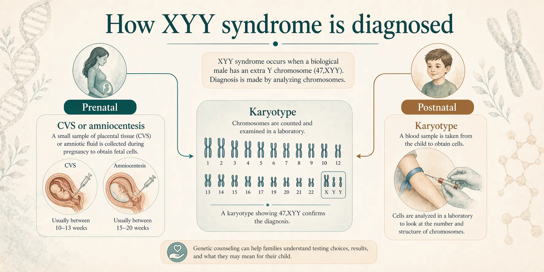 Diagnostic path for XYY syndrome showing prenatal testing and postnatal karyotype confirmation.