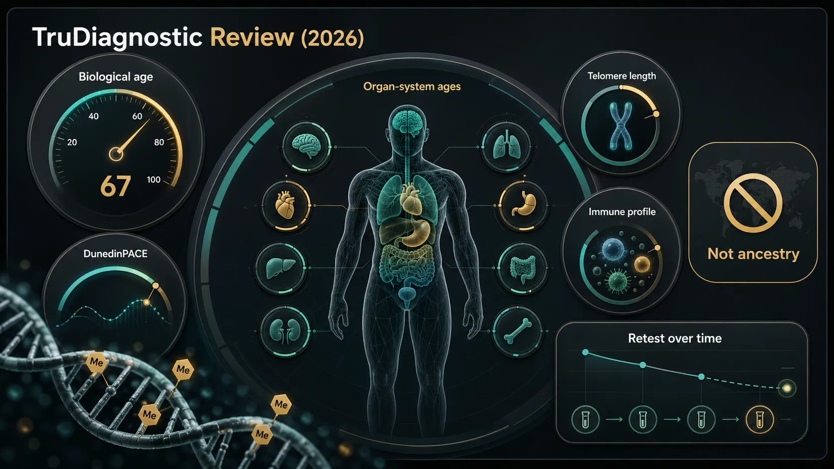 TruDiagnostic biological age dashboard showing biological age, DunedinPACE, telomere length, immune profile, organ-system ages, retesting, and the non-ancestry use case.