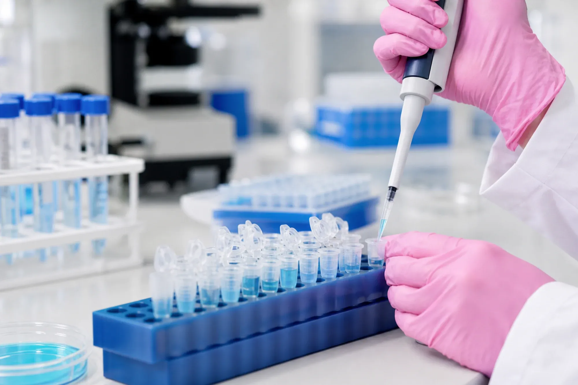 What Are RNA and DNA and Are They Different? What Are RNA and DNA and Are They Different?