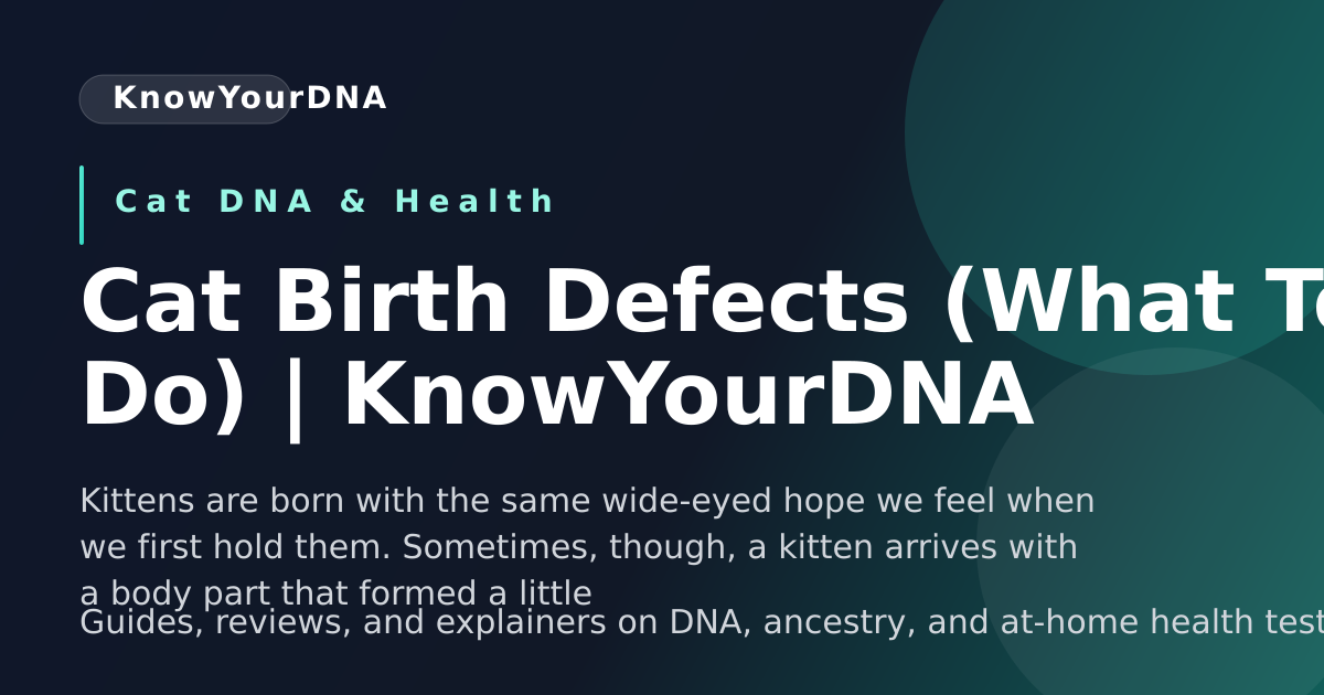 Cat Birth Defects (What To Do) | KnowYourDNA