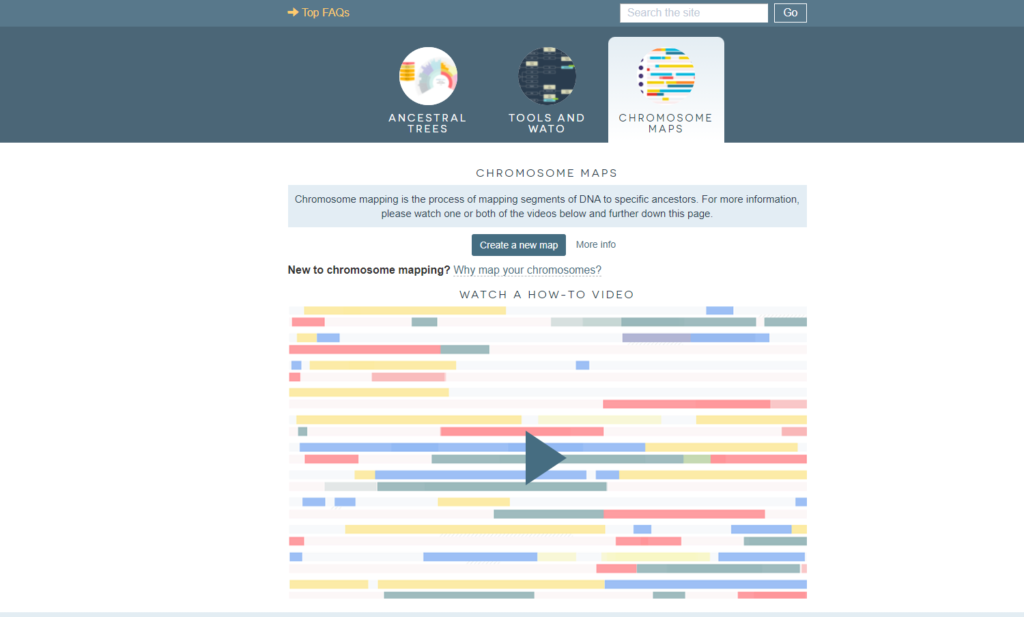 What is DNA Painter? 13